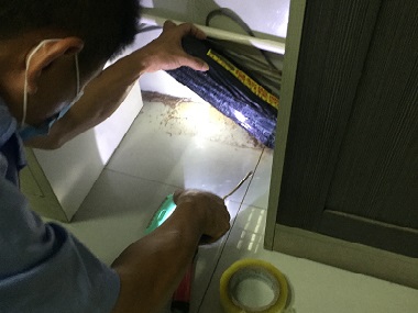 南海白蚁预防站白蚁用普通杀虫剂有用吗？